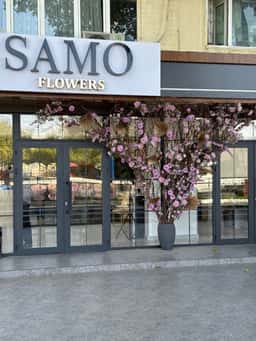 Samo Flowers