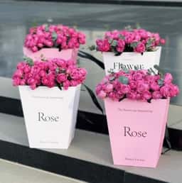 Aura Flowers