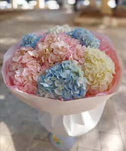 Credo Flowers