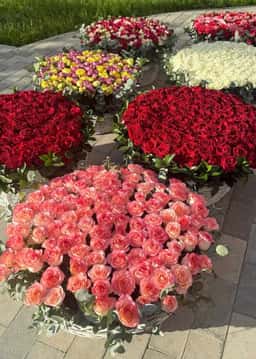 Beauty Rose