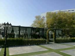Crystal Garden