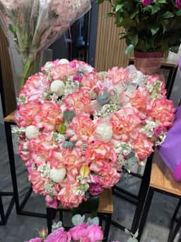 Beverle Rose