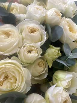 Bella Rose flowers salon