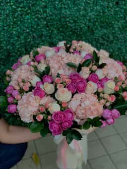 Rose Tashkent