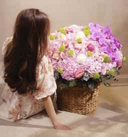 Blossom Flowers