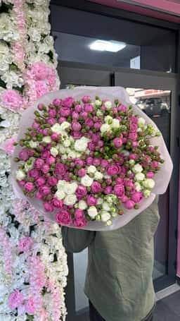 Why Not Flowers