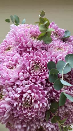 Honey Flowers