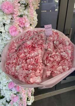 Why Not Flowers