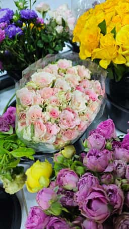 Romantik Rose