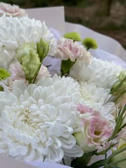 Bred Flower Shop