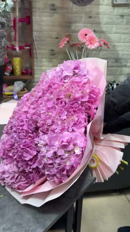 Rose Tashkent
