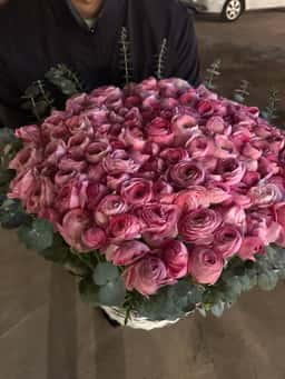 Diamond Roses