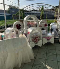 Shazi Luxury Sarpa