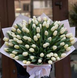 Frezi Flora