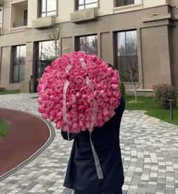 Rosemilk Flowers