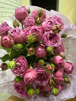 Bred Flower Shop