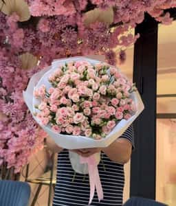 Beauty Rose