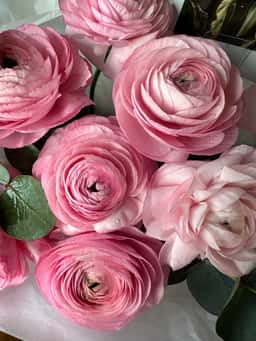 Floral Aesthetic