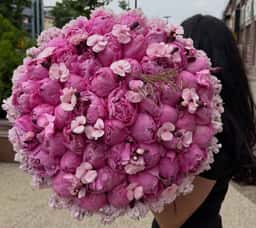 Vetka Flowers & Decor