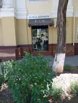 Floral Aesthetic