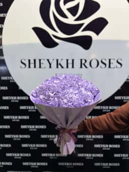 Sheykh Roses