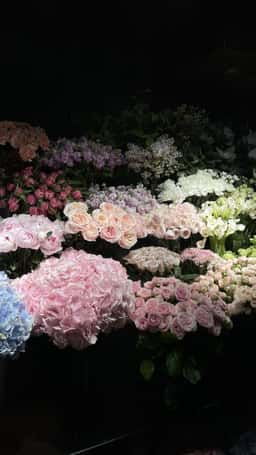 Aura Flowers