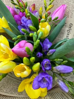 Shanti Flower