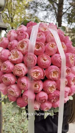 Only Flowers