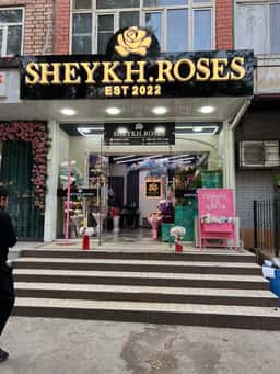 Sheykh Roses