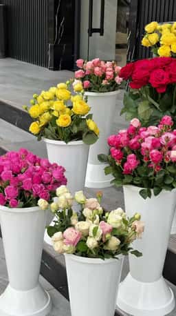Elanore Flowers