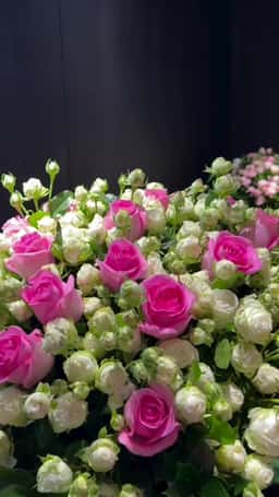 Frezi Flora