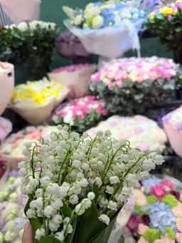 Flowers.uz