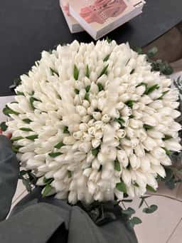Vetka Flowers & Decor