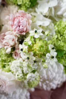 Meadow flowers