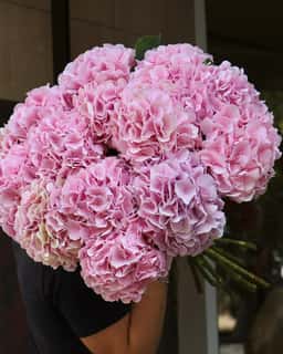 Raniflowers