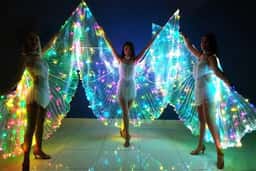 Anastasia Show Ballet