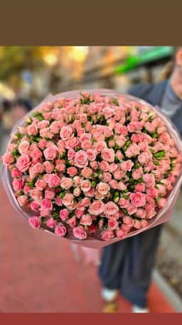 La Floristique