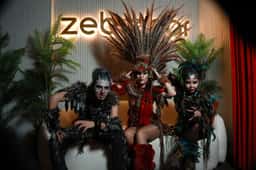 Zebra Bar
