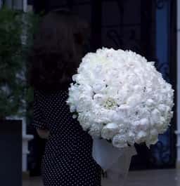 Blossom Flowers