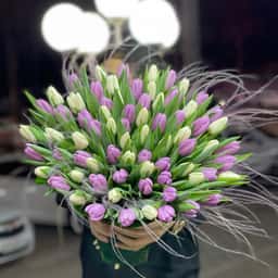 Floreal