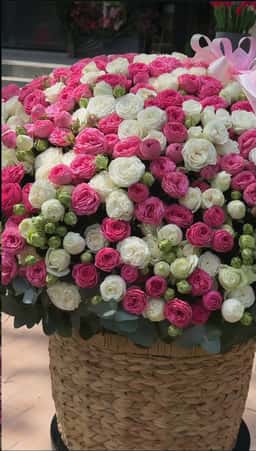 Flowers.uz