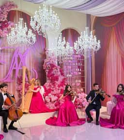Bravo Orchestra