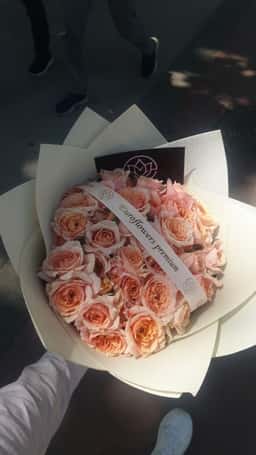 Euro Flowers Premium