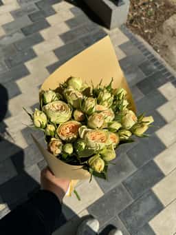 Shanti Flower