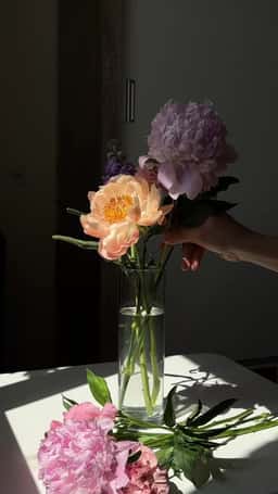Honey Flowers