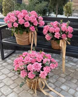 Bahorim Flowers