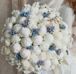 Vetka Flowers & Decor