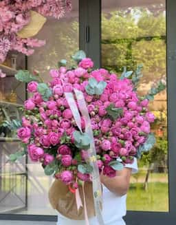 Beauty Rose