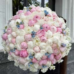 Vetka Flowers & Decor