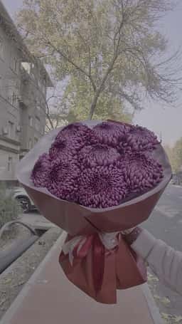 La Floristique